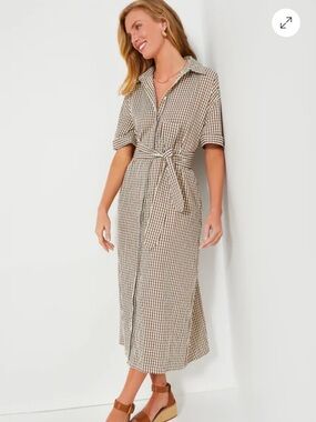 Pomander Place Brown Gingham Seersucker Zacara Dress